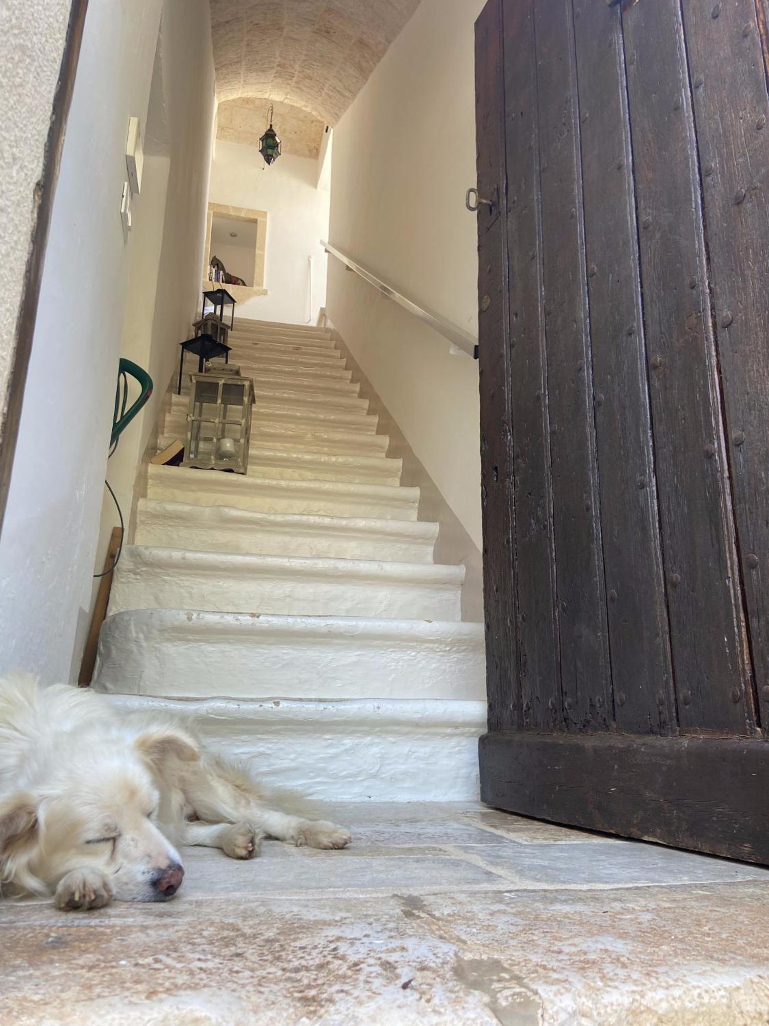 Masseria Conca D'Oro Ostuni Exterior foto